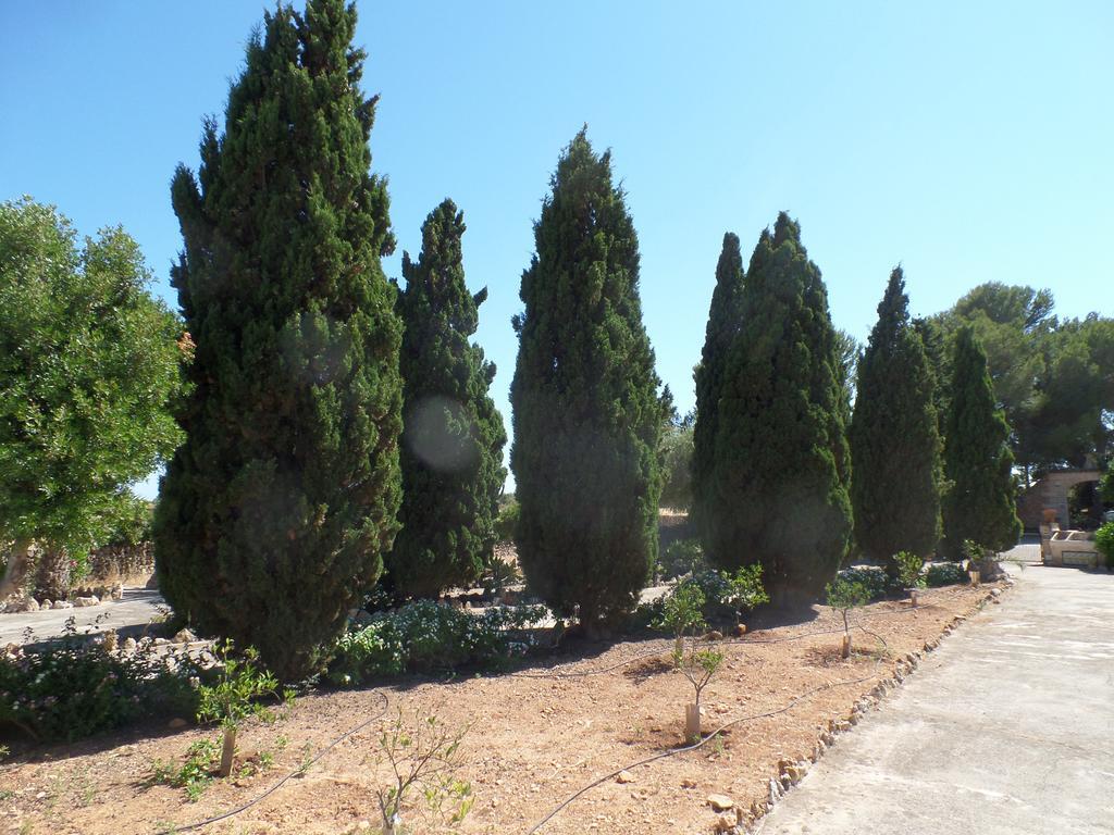 Sa Bassa Crua Agroturismo Sa Torre المظهر الخارجي الصورة